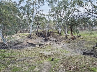 7322 Goulburn Valley Hwy Kialla West VIC 3631 - Image 3