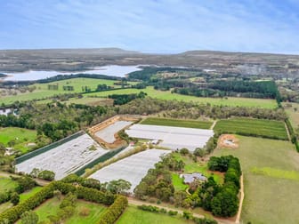 1061 Stumpy Gully Road Moorooduc VIC 3933 - Image 3