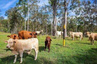 Lot 173 Connors Road Bauple QLD 4650 - Image 2