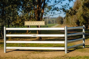 Melliodora/163 Plunkett Road Bowna NSW 2644 - Image 3