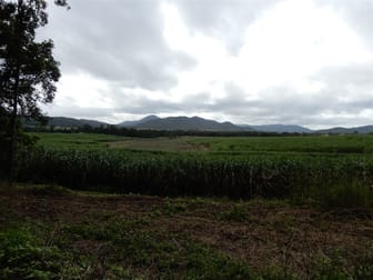 Mirani QLD 4754 - Image 2