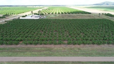 Horseshoe Lagoon QLD 4809 - Image 3