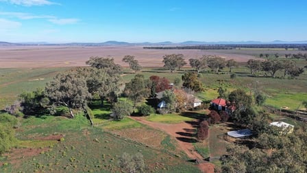 590 Round Hill Road "Inverary" Piallaway NSW 2342 - Image 3