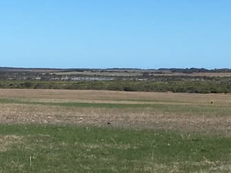 Lot 5 Springdale Road Munglinup WA 6450 - Image 1