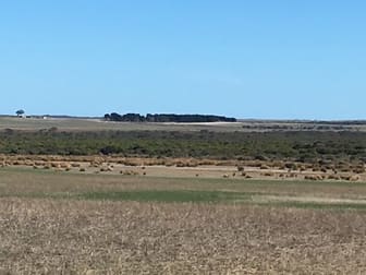 Lot 5 Springdale Road Munglinup WA 6450 - Image 2
