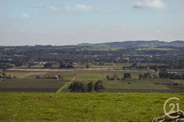378 Richard Street Penrice SA 5353 - Image 1