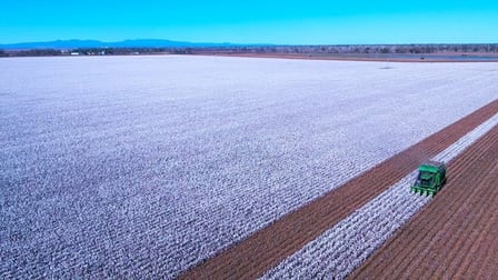 275 Spring Plains Road Narrabri NSW 2390 - Image 2