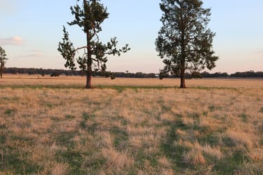 Mid Western Highway West Wyalong NSW 2671 - Image 1