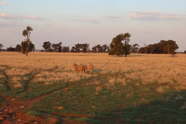 Mid Western Highway West Wyalong NSW 2671 - Image 2