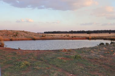 Mid Western Highway West Wyalong NSW 2671 - Image 3