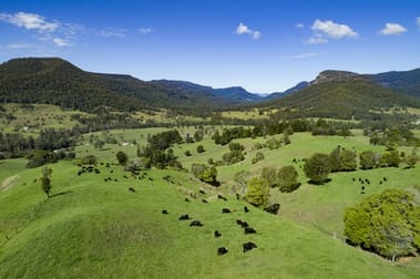 2325 Nerang Murwillumbah Road Nerang QLD 4211 - Image 2