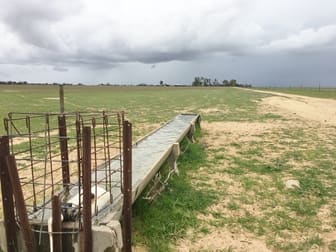 3388 Mollerin Rock South Rd, Lake Margarette via Koorda WA 6475 - Image 1