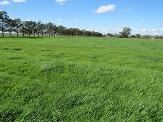 3357 NEWELL HIGHWAY Finley NSW 2713 - Image 2