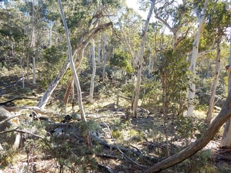 Lot 49 "The High Forest" Mount Clear Bredbo NSW 2626 - Image 1