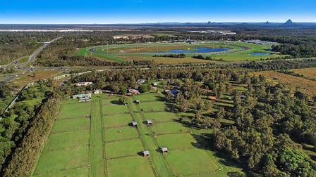 17 Westaway Road Meridan Plains QLD 4551 - Image 1