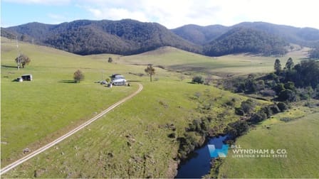 1661 Gelantipy Rd Murrindal VIC 3885 - Image 1