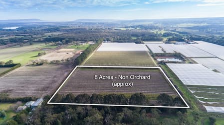 1154 Stumpy Gully Road Moorooduc VIC 3933 - Image 2