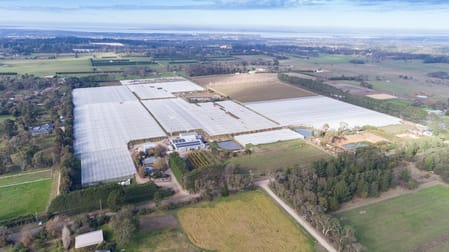 1154 Stumpy Gully Road Moorooduc VIC 3933 - Image 3