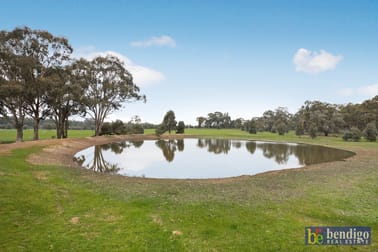 1 Norman Road Wellsford VIC 3551 - Image 3