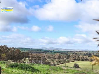 Click to view all images 158 Kilrush Road Cootamundra NSW 2590 - Image 3