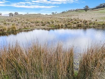 'Riverview' 402 Beaconsfield Road Black Springs NSW 2787 - Image 2