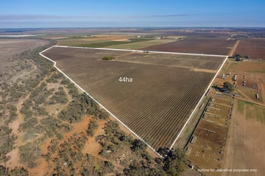 110 Swamp Road Red Cliffs VIC 3496 - Image 1