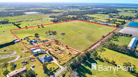 56 Bungower Road Somerville VIC 3912 - Image 3