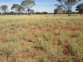 Isisford QLD 4731 - Image 1