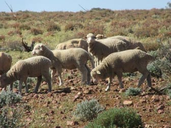 Isisford QLD 4731 - Image 2