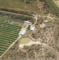 336 Springmount Road Mutchilba QLD 4872 - Image 3