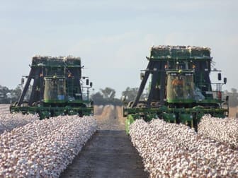 Oodnadatta Farms Moree NSW 2400 - Image 1