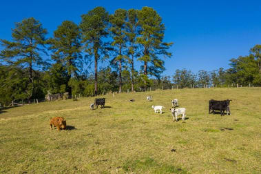 Stewarts River Road Lorne NSW 2439 - Image 3