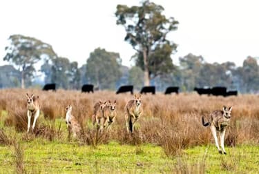 Rural & Farming  business for sale in Shepparton - Image 2