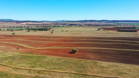 46 Coocooboonah Lane Gunnedah NSW 2380 - Image 1