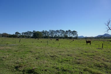 450 Wiangaree Back Rd West Wiangaree NSW 2474 - Image 1