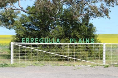 Erregulla Plains, Midlands Rd Mingenew WA 6522 - Image 1