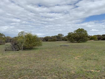 25253/ Ellery Road South Burracoppin WA 6421 - Image 3