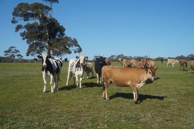 Lot 58 Yacca Road Yankalilla SA 5203 - Image 1