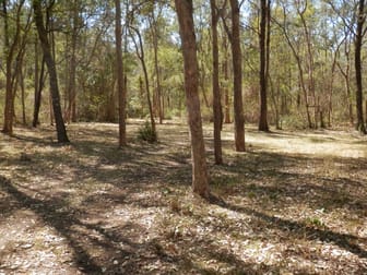 Click to view all images 65 Bellbird Rd Drake NSW 2469 - Image 2