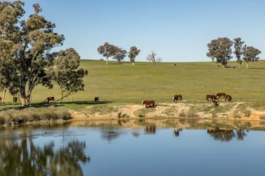 2174 Jugiong Road Harden NSW 2587 - Image 1