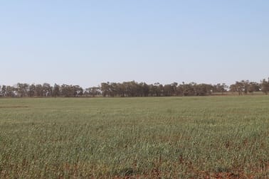 - Mid Western Highway Weethalle NSW 2669 - Image 3