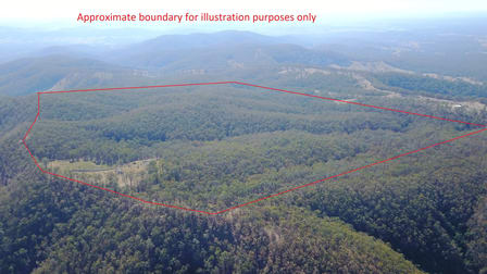 702 Comboyne Road Byabarra NSW 2446 - Image 1