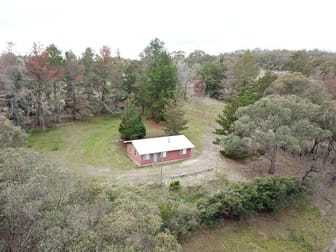 Lot 117 New England Highway Moonbi NSW 2353 - Image 1