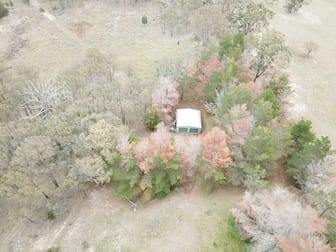 Lot 117 New England Highway Moonbi NSW 2353 - Image 3