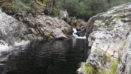 735 Hereford Hall Road Braidwood NSW 2622 - Image 2