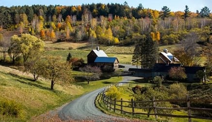 Rural & Farming  business for sale in VIC - Image 2