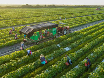 Rural & Farming  business for sale in VIC - Image 3