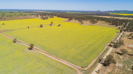 885 Baldwins Road Temora NSW 2666 - Image 1