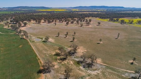 885 Baldwins Road Temora NSW 2666 - Image 2