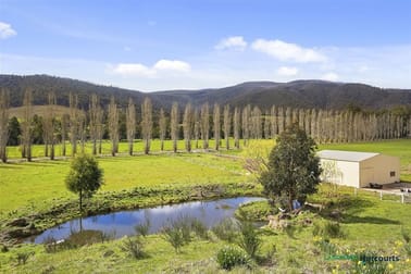 684 Buxton- Marysville Road Buxton VIC 3711 - Image 1